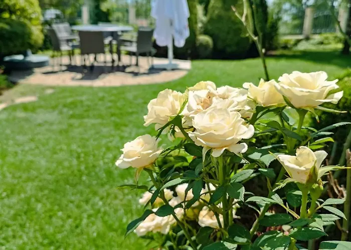 Otel Hotel-restaurant Almond Karlovo